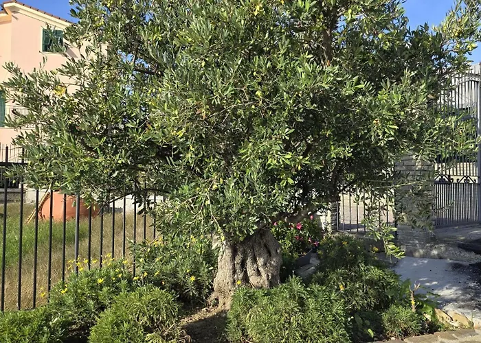 Apartment Casa Diana *